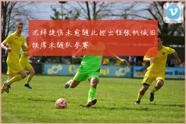 沈梓捷伤未愈随北控出征张帆依旧缺席未随队参赛